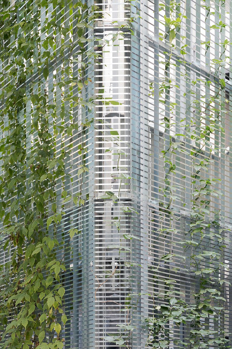 Panorama, bureau d’architecture - CGC - Aménagement d'un patio