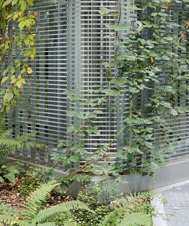 Panorama, bureau d’architecture - CGC - Aménagement d'un patio